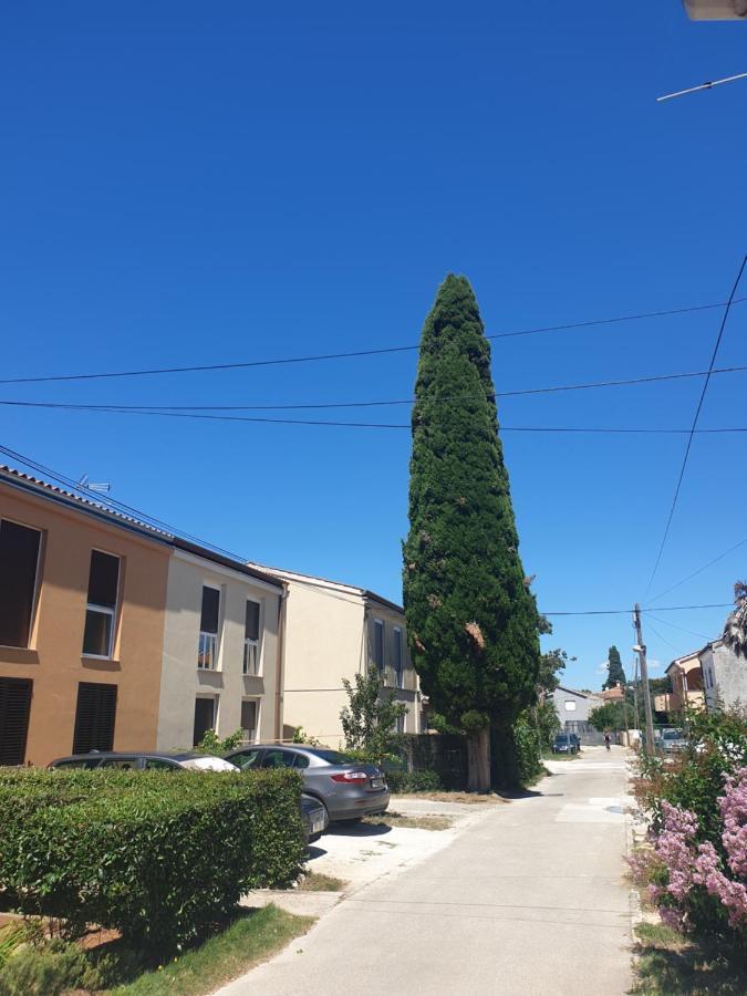 Apartmani Slavulj Fažana エクステリア 写真