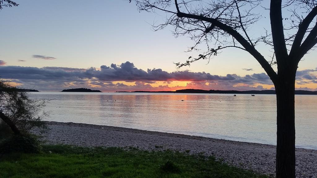 Apartmani Slavulj Fažana エクステリア 写真